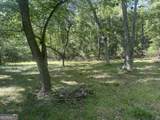 0 Burtons Ferry Highway - Photo 5