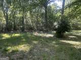 0 Burtons Ferry Highway - Photo 6