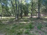 0 Burtons Ferry Highway - Photo 7