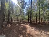 0 Burtons Ferry Highway - Photo 9