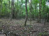 0 Zebulon Road - Photo 24