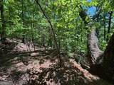 0 Lookout Ridge Road - Photo 4