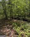 348 Hemlock Trail - Photo 15