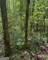 348 Hemlock Trail - Photo 16