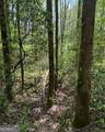 348 Hemlock Trail - Photo 24