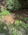 348 Hemlock Trail - Photo 31
