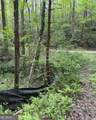 348 Hemlock Trail - Photo 34