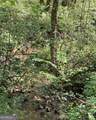 348 Hemlock Trail - Photo 37
