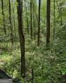 348 Hemlock Trail - Photo 38