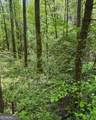 348 Hemlock Trail - Photo 7