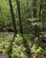 348 Hemlock Trail - Photo 8