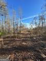 1070 Hwy 78 - Photo 7