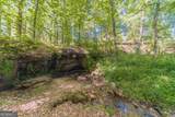 2513 Carleton Gold Road - Photo 41