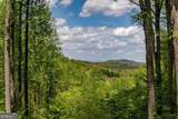 431 Little Bushy Head Road - Photo 19