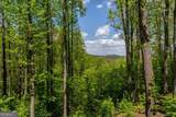 431 Little Bushy Head Road - Photo 37