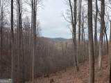 431 Little Bushy Head Road - Photo 46