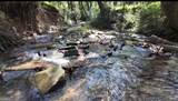 2011 Stinchcomb Road - Photo 10
