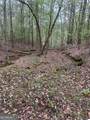 LOT #4 Frontier Shores Road - Photo 5