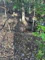 LOT #4 Frontier Shores Road - Photo 6