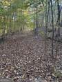 LOT #4 Frontier Shores Road - Photo 8
