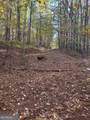 LOT #4 Frontier Shores Road - Photo 9