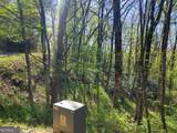 0 LOT 40 Pipetrack Gap Road - Photo 11