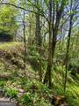 0 LOT 40 Pipetrack Gap Road - Photo 12