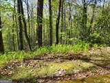 0 LOT 40 Pipetrack Gap Road - Photo 13