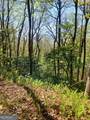 0 LOT 40 Pipetrack Gap Road - Photo 2