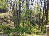 0 LOT 40 Pipetrack Gap Road - Photo 3