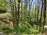 0 LOT 40 Pipetrack Gap Road - Photo 4
