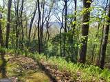 0 LOT 40 Pipetrack Gap Road - Photo 5