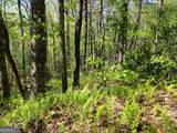0 LOT 40 Pipetrack Gap Road - Photo 6