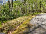 0 LOT 40 Pipetrack Gap Road - Photo 7