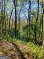 0 LOT 40 Pipetrack Gap Road - Photo 8
