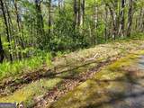 0 LOT 40 Pipetrack Gap Road - Photo 9