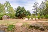 374 Persimmon Drive - Photo 72