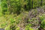 0 Fire Tower Road - Photo 6