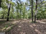 0 Deer Creek Trail - Photo 3