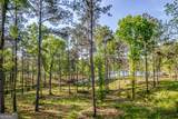 203 Falls Lane - Photo 4
