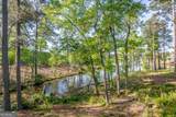 203 Falls Lane - Photo 7