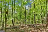 0 Monroe Ridge Road - Photo 4