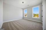 2695 Marie Way - Photo 8