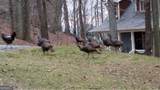 20 Goldmine Drive - Photo 10
