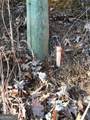 20 Goldmine Drive - Photo 21
