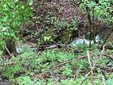 1720 Rebekah Ridge Road - Photo 3