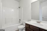 5646 Apple Grove Road - Photo 31