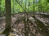 LOT 1972 Nancy Court - Photo 3