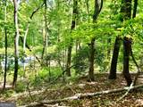 LOT 60 Waterfall Lane - Photo 7