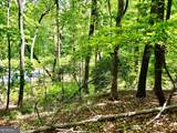 LOT 60 Waterfall Lane - Photo 8
